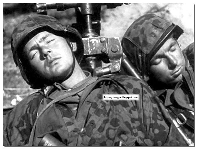 صور نادرة  لفرقة وافين اس اس الالمانية  Waffen-SS-rare-pictures-photo-images-4th-motorised-division-ss-police