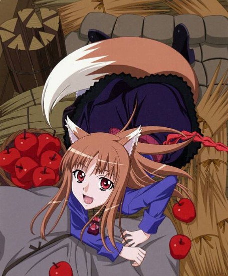 Spice and Wolf primera y segunda temporada [MF] Spice_and_wolf_review