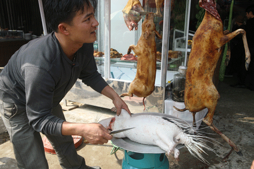 quan - Lễ hội, tín ngưỡng và chuyện bát nháo thời sản mạt Anhtrongbaiviet1990708133