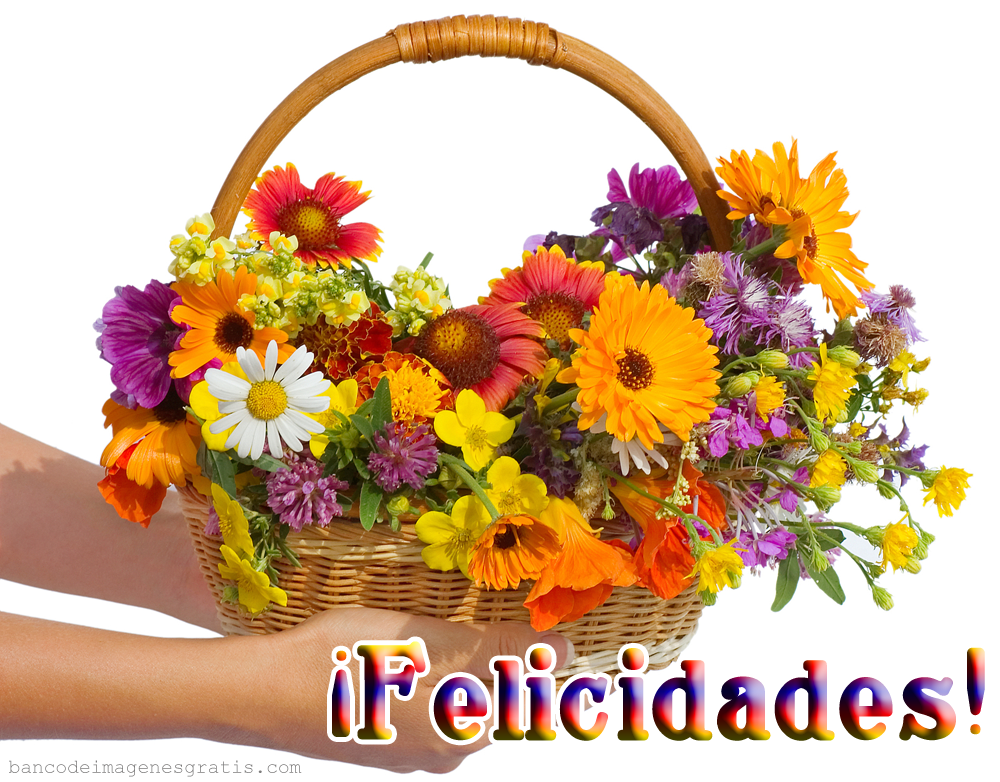 Feliz cumpleaños  twitaholic !!! Postal%2Bcon%2Bflores%2By%2Bmensaje%2Bfelicidades