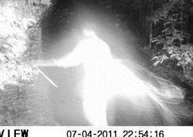 Figura luminosa aparece en los parques estatales de Georgia Misteriosa-figura