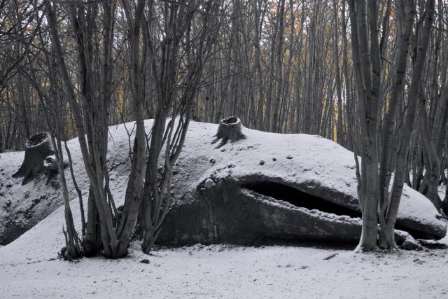  فنان أرجنتيني يقوم بنحت مجسم لحوت   Whale-3