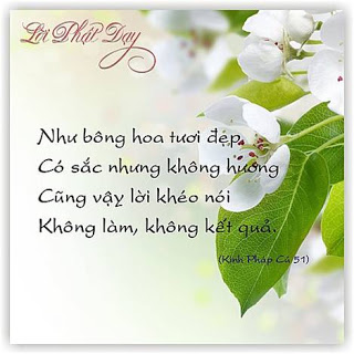 Mộng Hồ Điệp Phapcu02