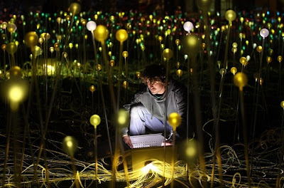 Flores de luz Bruce-munro-field-of-lights8