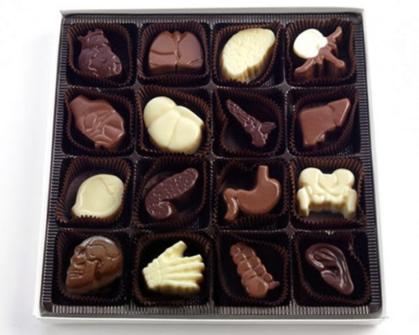 المجموعة المميزة من الابتكارات 18.-Organ-Chocolates-610x488