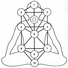 Teorias Hombre gris - Página 27 Meditation-Tree