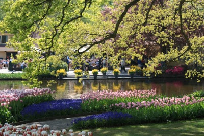 حديقة كيوكينهوف Keukenhof أكبر و أجمل حديقة أزهار في العالم. 9