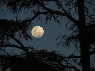 POEMAS SIDERALES ( Sol, Luna, Estrellas, Tierra, Naturaleza, Galaxias...) - Página 20 Luna