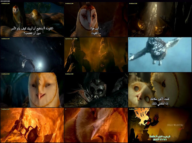 فيلم الانمى Legend of the Guardians مترجم على MEDIAFIRE Legend.of.the.Guardians.The.Owls.of.GaHoole.DVDRip.X264.DooSH_s