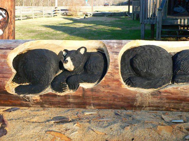 Animals Carved In Tree Trunk فنان نيوزلندي يبدع في النحت على  جذوع الأشجار Image019