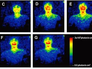 El cuerpo humano emite su propia luz Cuerpo-brilla