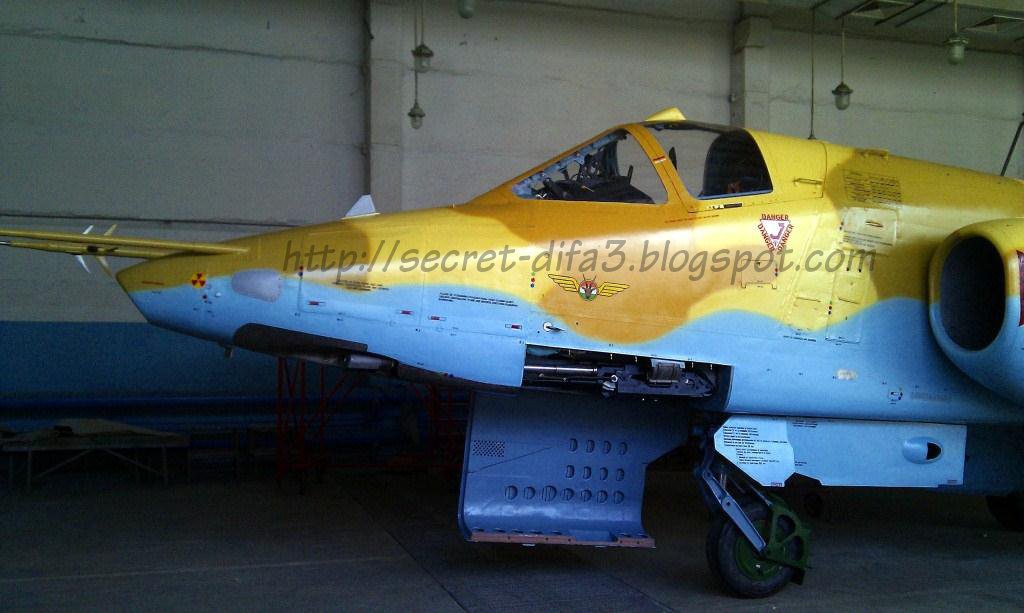 Armée Nigérienne Su25