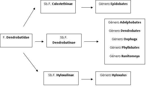 genetica en dendrobates... leelo completo, vale la pena  Arbol