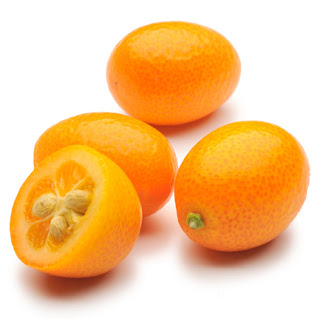 Kumquat ovale Nagami Kumquat2