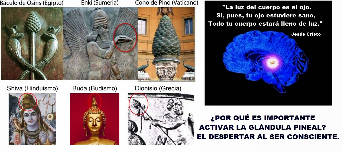 EL CUERPO HUMANO ES LA TIERRA SAGRADA Glandula-pineal-en-la-antiguedad