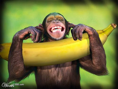 Brasil: De Império a terra de macacos (Um alerta para o mundo). by Gladio  Banana-macaco