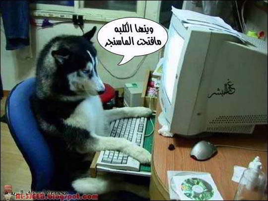 صور مضحكة... Al-3jeeb.blogspot%20%283%29