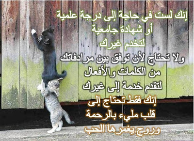 حكم وامثال وأقوال  .. - صفحة 22 Download