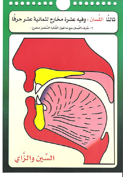 حتى لا تبور لُغتنا العربية .. 21673973