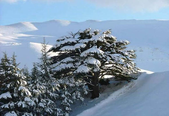 لوحة أسطورية بالغة الجمال من لبنان Valley-Kadisha-Lebanon-14