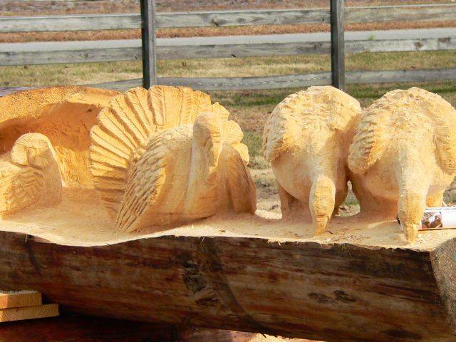 Animals Carved In Tree Trunk فنان نيوزلندي يبدع في النحت على  جذوع الأشجار Image009