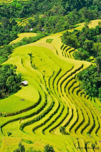 THE MOST BEAUTIFUL SCENERY IN THE WORLD 7 HaGiang