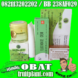 CREAM WALET 2 IN 1 SINGAPORE wajah di jamin mulus [082113202202] Waleet