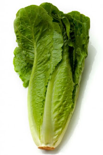 الوان من شم النسيم Romaine-lettuce__95818_zoom