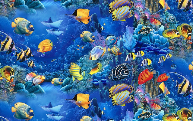 خلفيات اسماك البحر روعه Fish%20Wallpaper