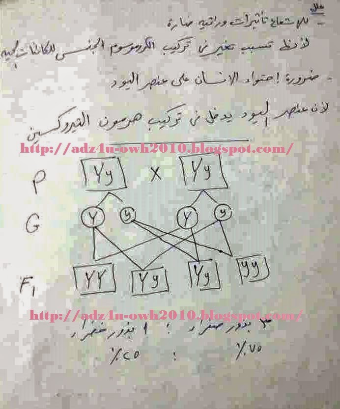 راجع اجابتك - نموذج إجابة امتحان العلوم للشهادة الإعدادية ترم2_2015 بمحافظة الاسكندرية 11281890_487573104727362_1801506464_n