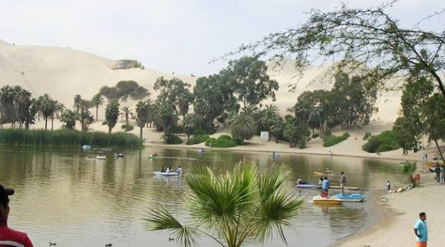 பாலைவனச்சோலை அமெரிக்காவில் சில! Beautiful_Oasis_America_Huacachina9