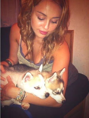  "Un mal paso y mi sueño" Justin Bieber  - Página 11 Miley-Cyrus-perros