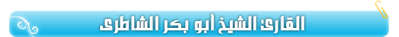 تحميل المصحف المرتل للقارئ شيخ أبو بكر الشاطري بروابط مباشرة - MP3 Bg-shaatree