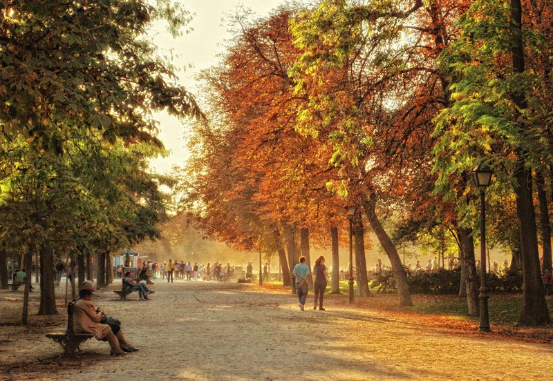 Parque de retiro en otono Retiro2mica