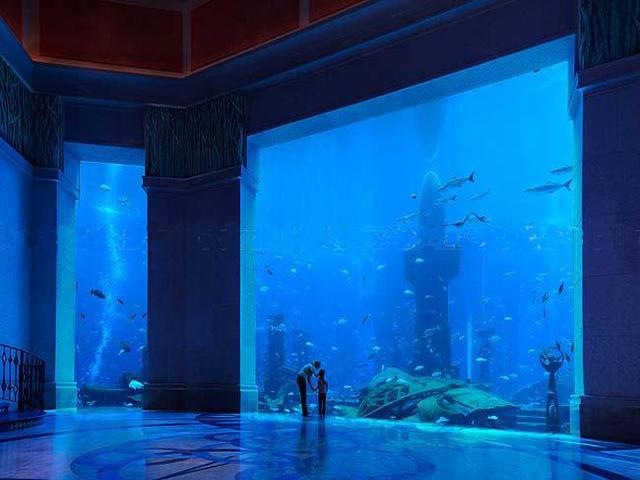هل تخيلت أن تعيش تحت الماء ؟ فندق أتلانتس دبي Underwater-hotel-dubai-21