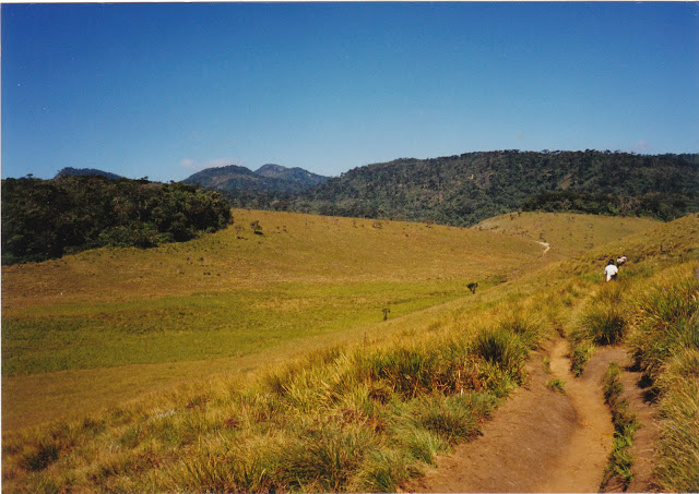 இலங்கையில் ஹோட்டன் சமவெளி Horton-plains-3