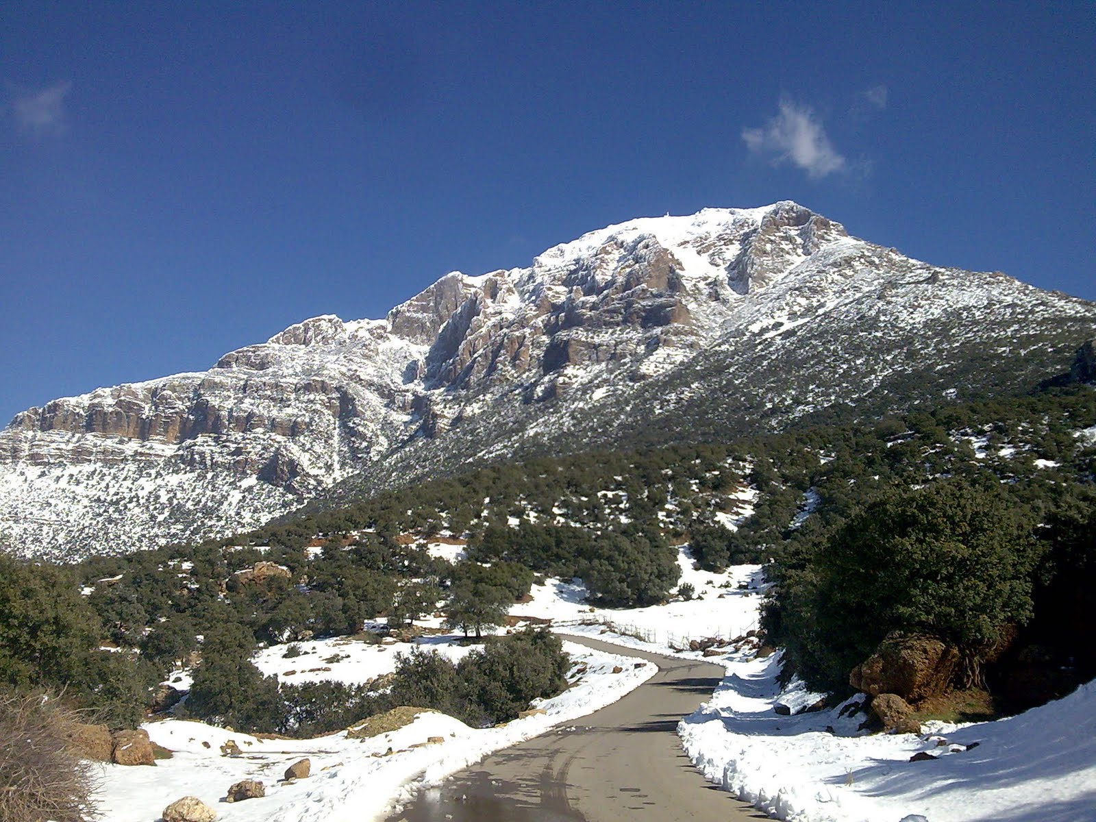  صور رائعة لجبال الونشريس لا تفوتوها  Image016