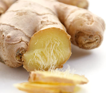 ملف شامل عن الزنجبيل  Zingiben officinale Ginger