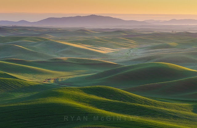 تعرف على بالويوس ارض العشب الملون Palouse-13%5B2%5D