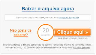 Como Baixar com o LockURL 04