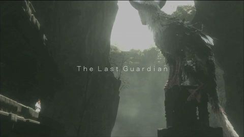 The Last Guardian è assente anche al TGS 2012 Project_Trico