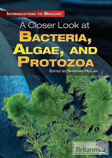 كتاب A closer look at Bacteria, Algae, and Protozoa   54645_426x600