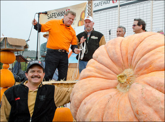 أمريكي يفوز بـ11 الف دولار بعد زراعته اكبر يقطينة تزن 773 كغم Biggest_Pumpkin_04