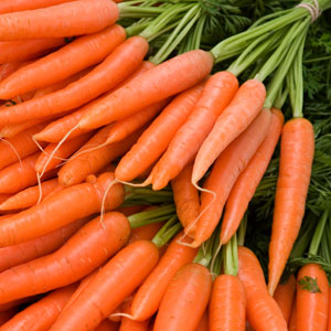 الجزر  Carrots-0304-lg-2628292