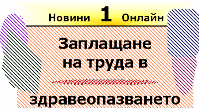 Какви са системите на заплащане на труда (Sistemi na zaplastane na truda). Zaplastane_na_truda_v_zdraveopazvaneto