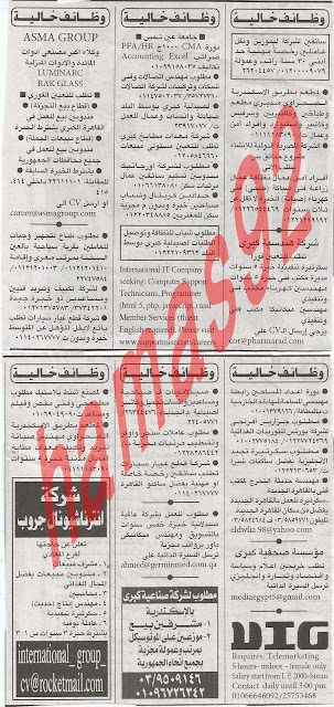 وظائف جريدة الاهرام الجمعة 22/2/2013 12
