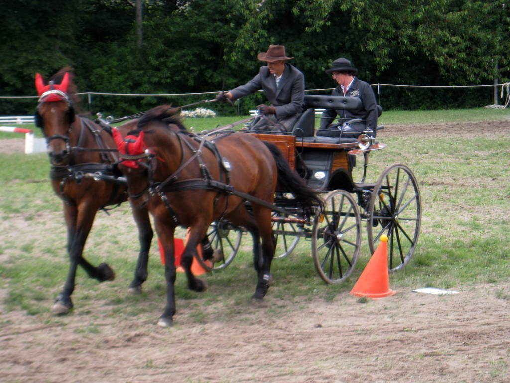 Hindernisfahren - Fotos von einem Turnier IMG_1368