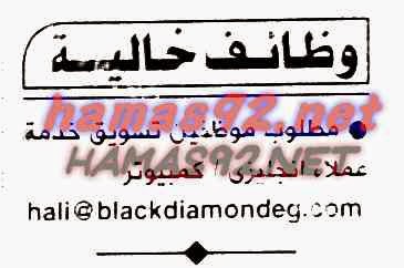 وظائف خالية من جريدة الاهرام الاثنين 24-11-2014 %D8%A7%D9%84%D8%A7%D9%87%D8%B1%D8%A7%D9%85%2B3