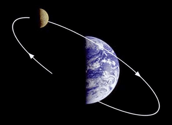 كيف يتحرك كوكب الأرض ؟  Orbit41414
