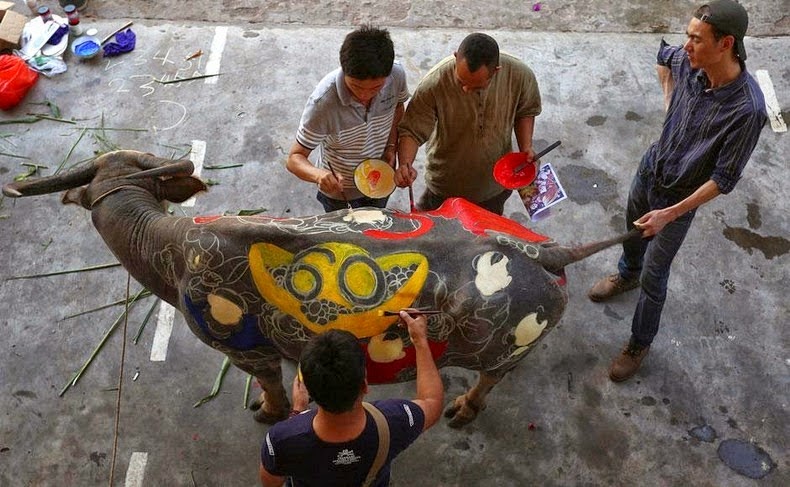 Buffalo Bodypainting Competition in China Buffalo-bodypainting-china-5